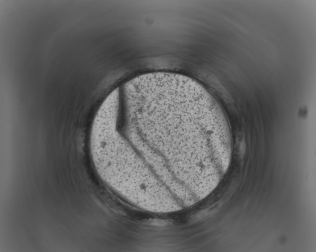 X0000094190255200711241621