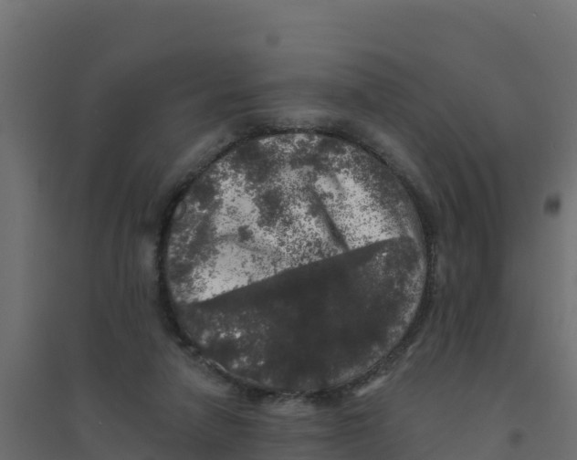 X0000094190258200711241621