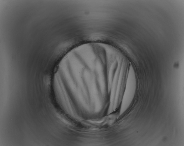 X0000094190260200711241621