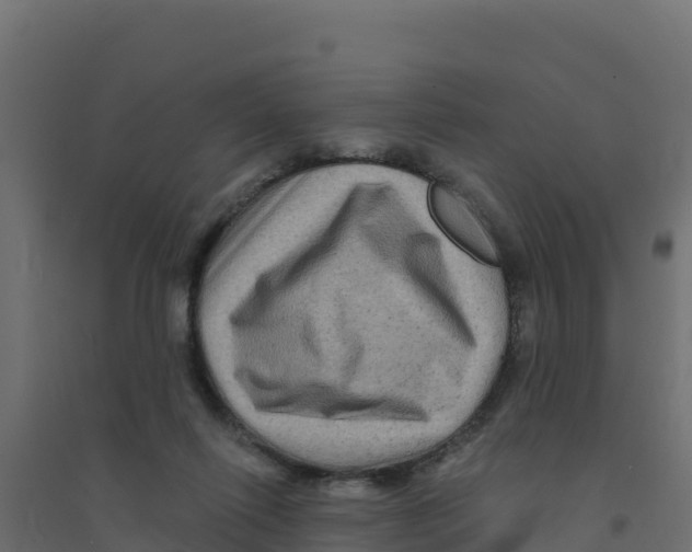 X0000094190262200711241621