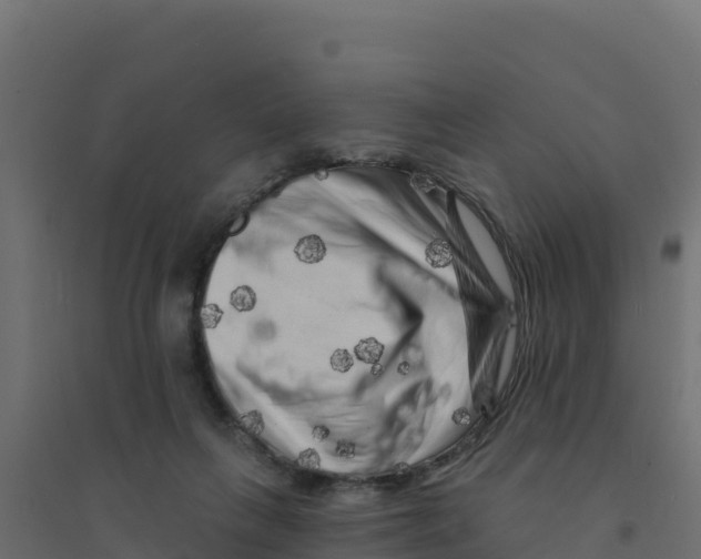 X0000094190263200711241621