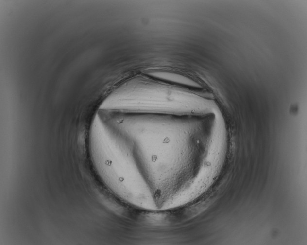 X0000094190265200711241621