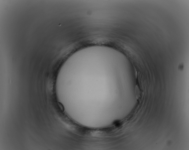 X0000094190268200711241621