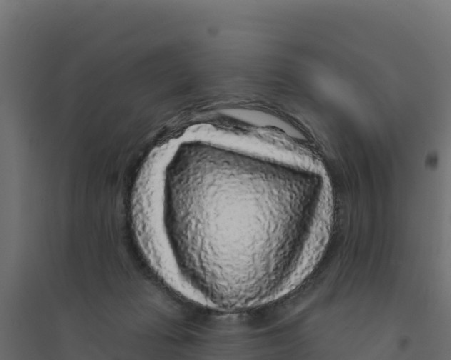 X0000094190269200711241621