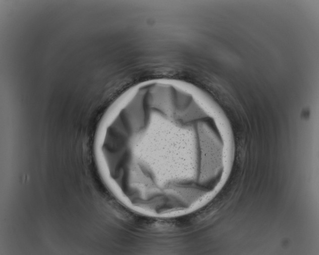 X0000094190270200711241621