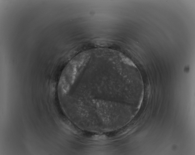 X0000094190271200711241621