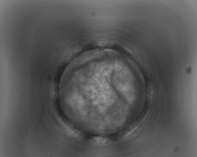 X0000094190272200711241621