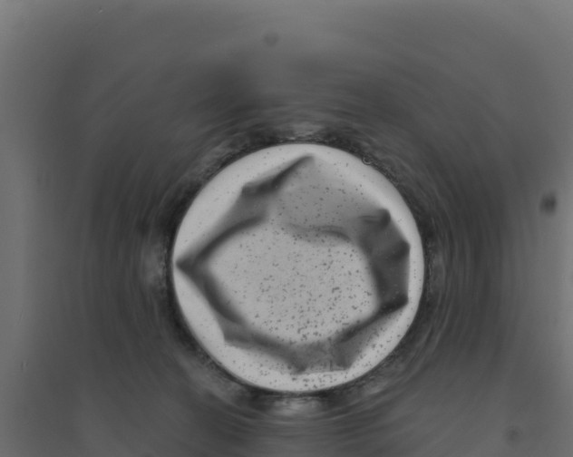 X0000094190274200711241622