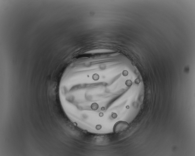 X0000094190275200711241622