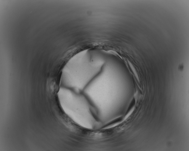 X0000094190276200711241622
