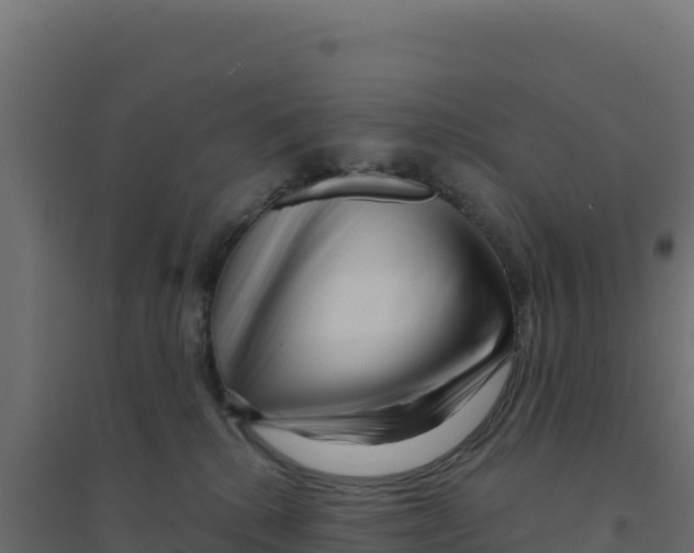 X0000094190280200711241622