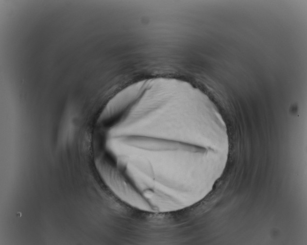 X0000094190281200711241622