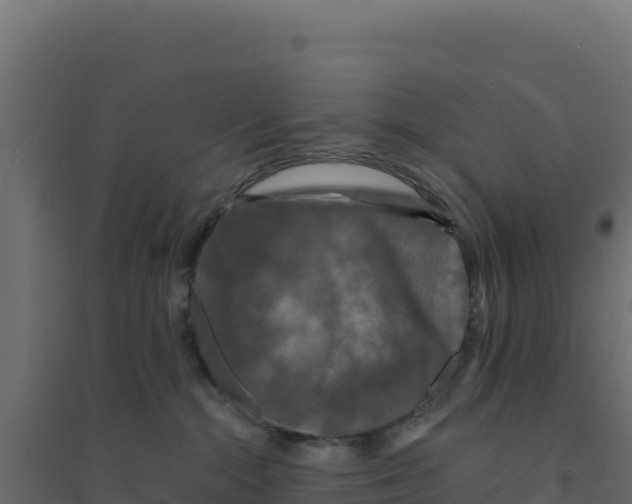X0000094190284200711241622