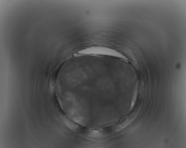X0000094190285200711241622