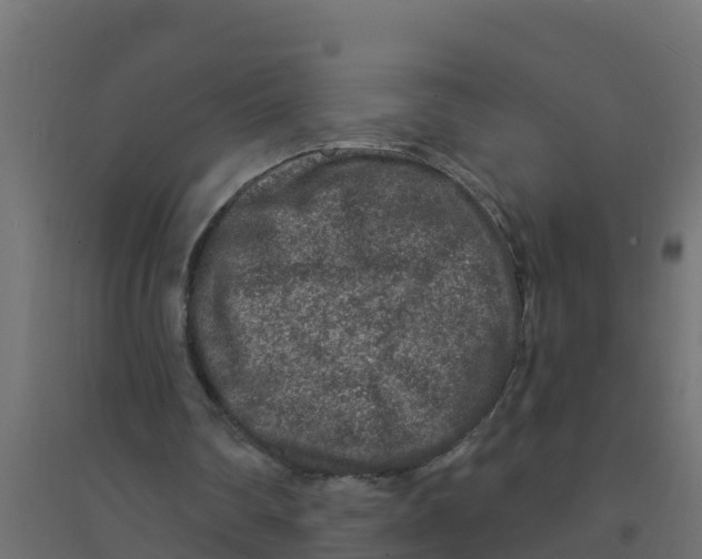 X0000094190290200711241621