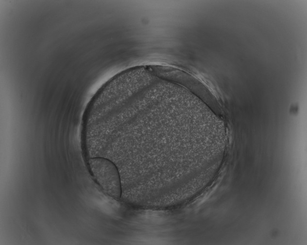 X0000094190292200711241621