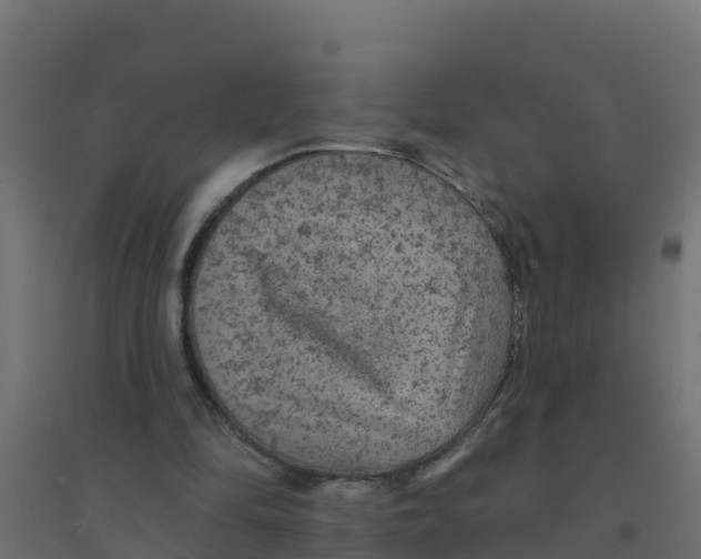 X0000094190294200711241621