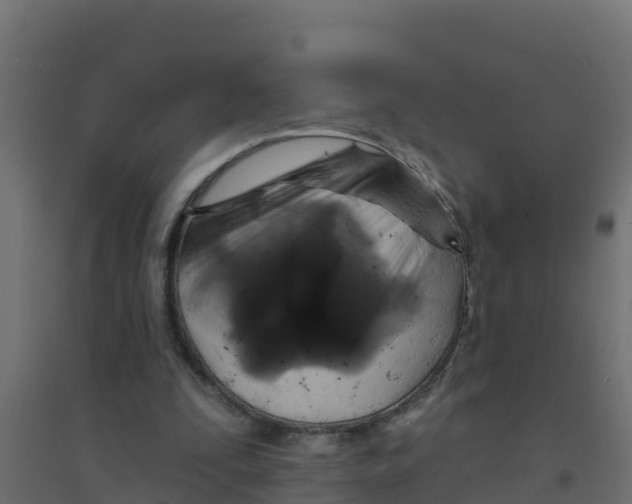 X0000094190295200711241621