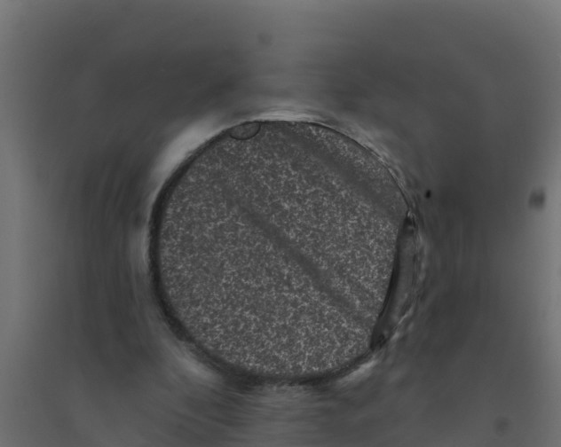 X0000094190296200711241621