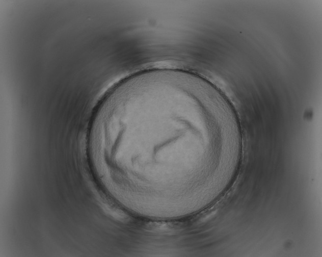 X0000094190297200711241621