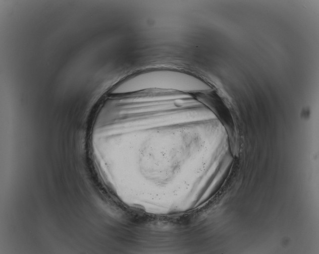 X0000094190299200711241621