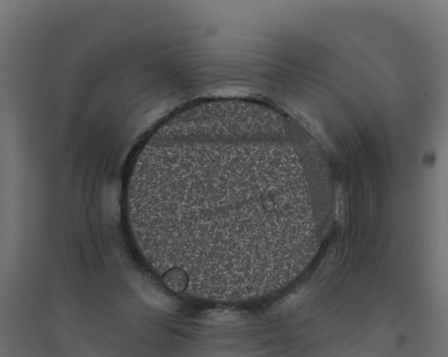 X0000094190300200711241621