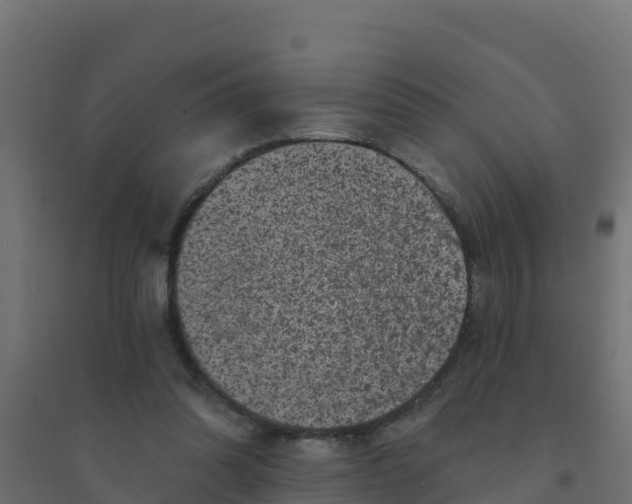 X0000094190302200711241621
