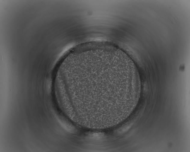 X0000094190304200711241621