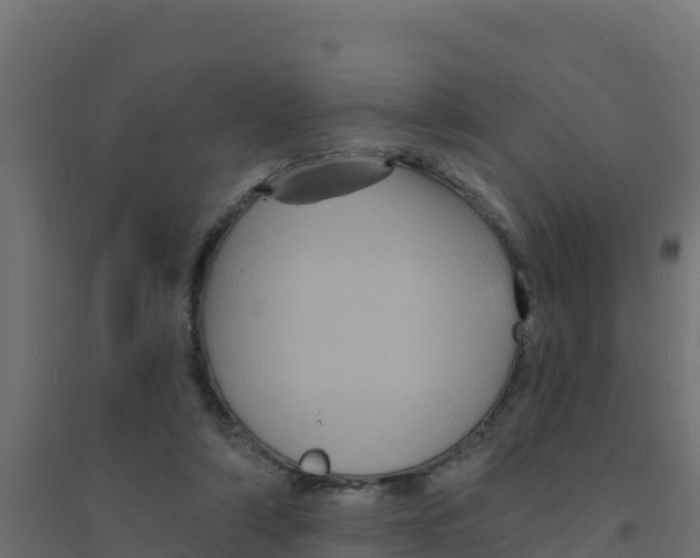 X0000094190306200711241621