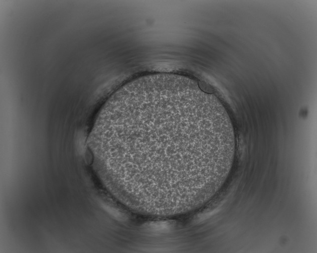 X0000094190307200711241621