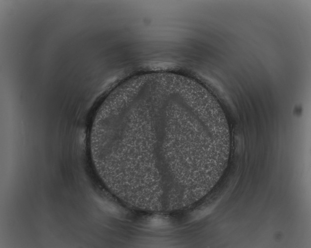 X0000094190308200711241621