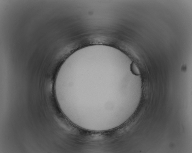 X0000094190310200711241621