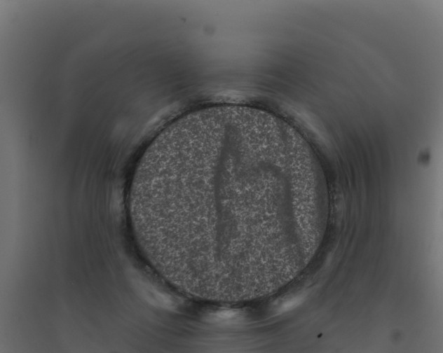 X0000094190312200711241621