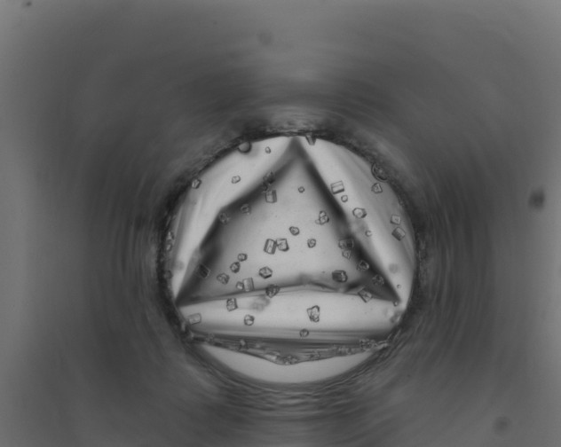 X0000094190315200711241621