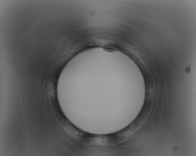 X0000094190317200711241621