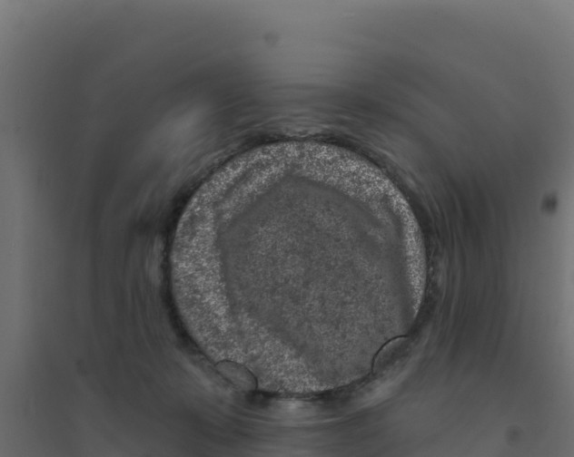 X0000094190319200711241621