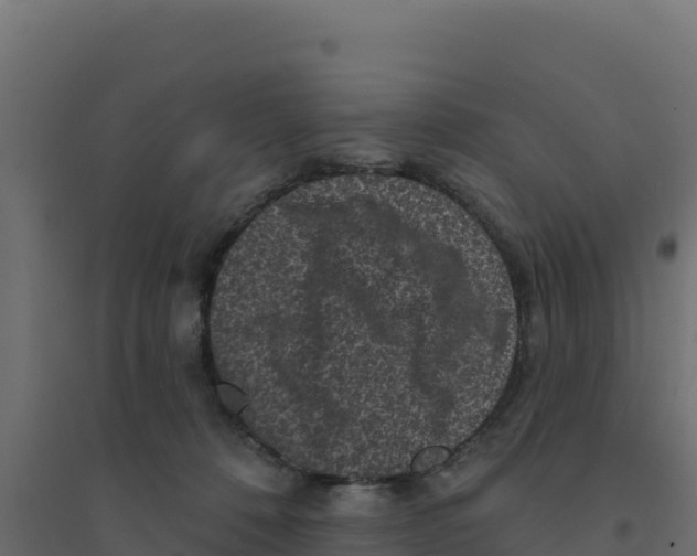 X0000094190320200711241621