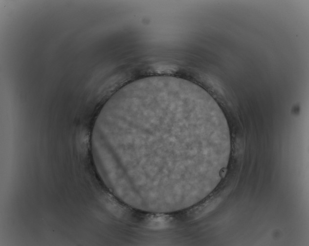 X0000094190321200711241621
