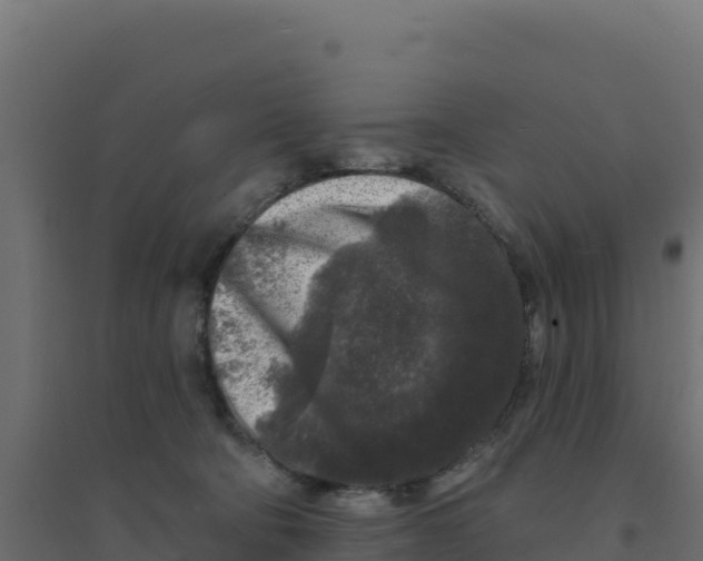 X0000094190322200711241621