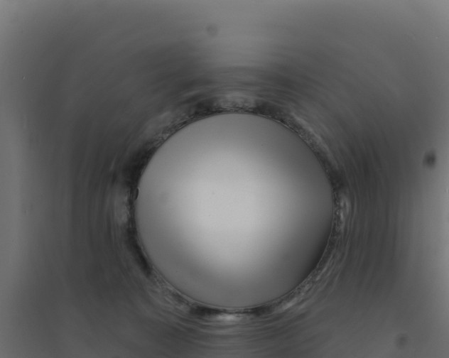 X0000094190323200711241621