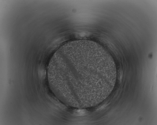 X0000094190324200711241621