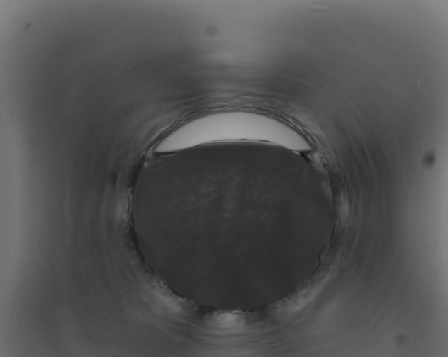 X0000094190325200711241621