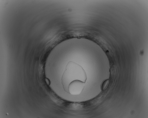 X0000094190327200711241621