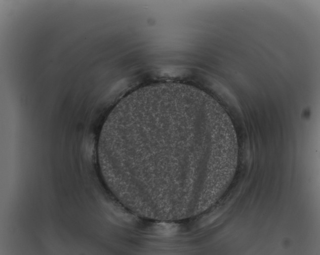 X0000094190328200711241621