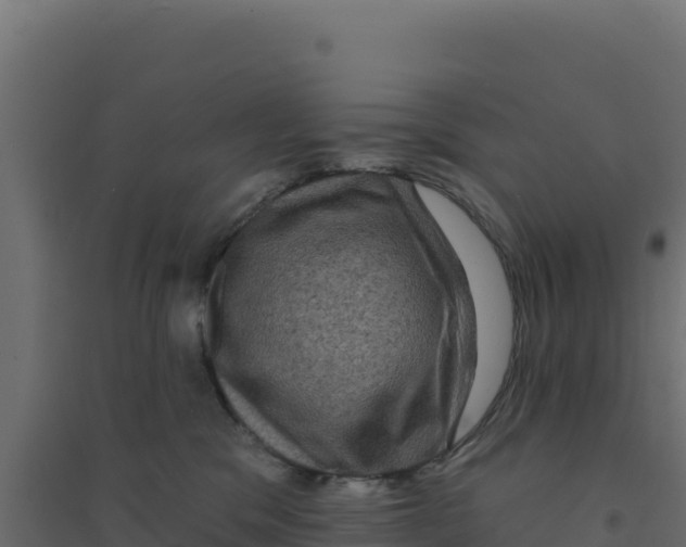 X0000094190329200711241620