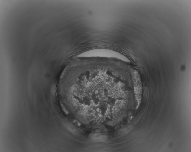 X0000094190331200711241620