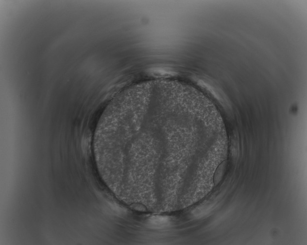 X0000094190332200711241620