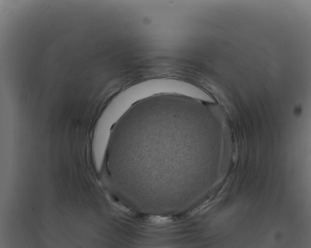 X0000094190333200711241620