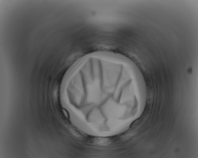 X0000094190334200711241620