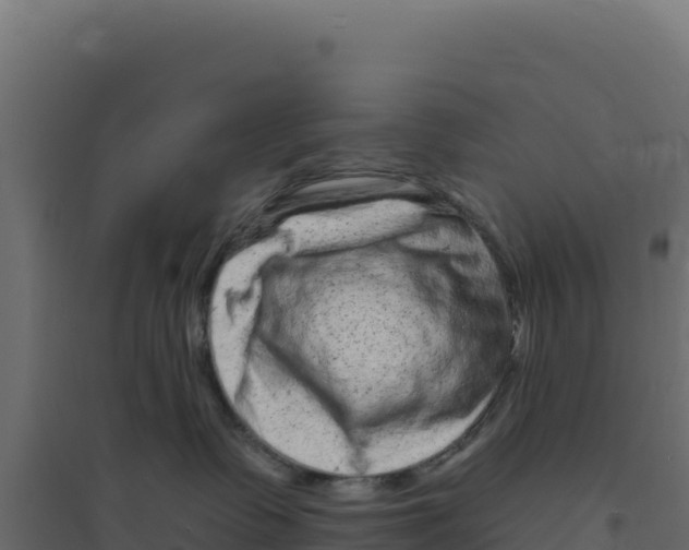 X0000094190335200711241620